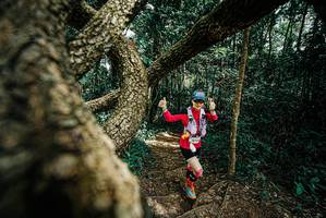 BIB: 
                            <button type="button" onclick="openModal(25704995)" class="btn btn-primary btn-sm float-right btn-popup" data-toggle="modal" data-target=".modal-high-quality">
                        <i class="fas fa-shopping-cart"></i> Add to Cart
                    </button>
                                            <button type="button" onclick="isThisMe(25704995, true)" class="btn btn-success btn-sm float-right btn-popup btn-isme hidden" data-toggle="tooltip" data-placement="bottom" title="นี่คือรูปของคุณใช่ไหม คลิกที่นี่เพื่อเอาเข้าอัลบั้ม">
                        <i class="fas fa-plus"></i> Add to album
                    </button>
                    <button type="button" onclick="isThisMe(25704995, false)" class="btn btn-warning btn-sm float-right btn-popup btn-isnotme hidden">
                        <i class="fas fa-ban"></i> Remove from album
                    </button>